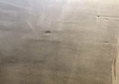 Clean-Carpet